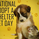 Illustration for article titled National Adopt a Shelter Pet Day